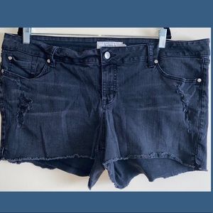 Torrid Black Jean Shorts
